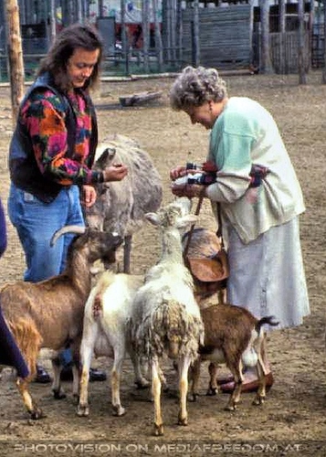 Streichelzoo 1: Charly Swoboda,Gertrude Swoboda