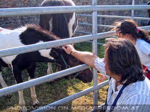 Kaiserliches Fest 11