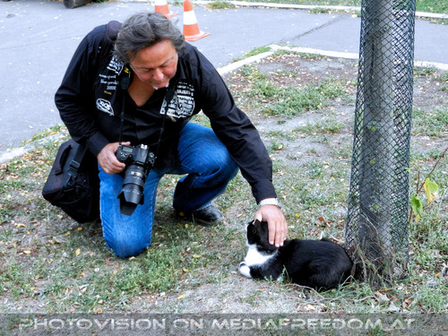 Katzen 4: Charly Swoboda