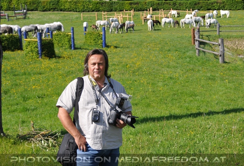 Die Lipizzaner Heimat 080