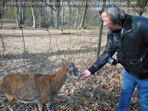 Naturpark 07: Charly Swoboda