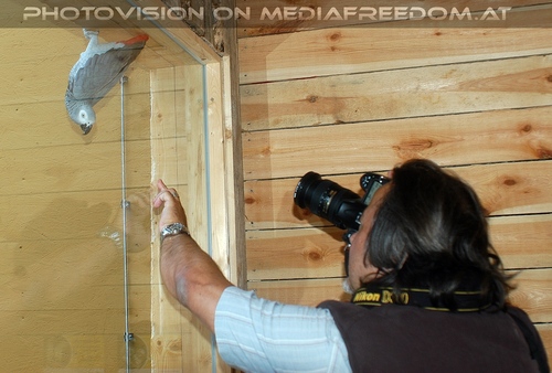 Papageienwelt 08: Charly Swoboda