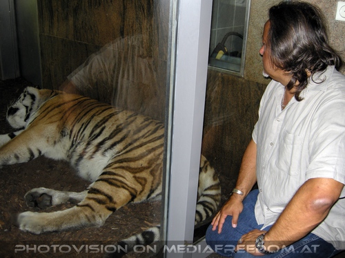 Tiger W�chter: Charly Swoboda