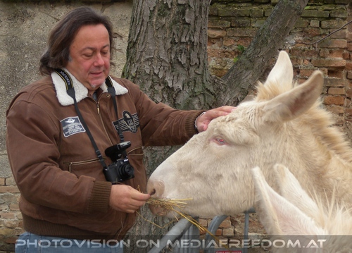Esel mit weissem Esel: Charly Swoboda