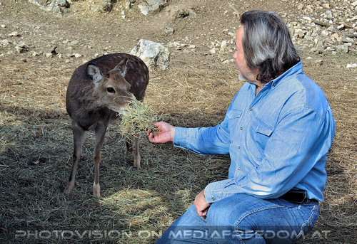 Wildpark 13: Charly Swoboda