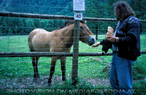 Wildpark 2: Charly Swoboda