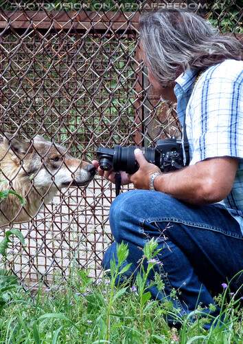 W�lfe 14: Charly Swoboda