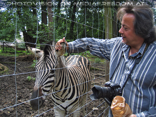 Zebras 2: Charly Swoboda