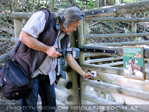 Ziegen 2: Charly Swoboda