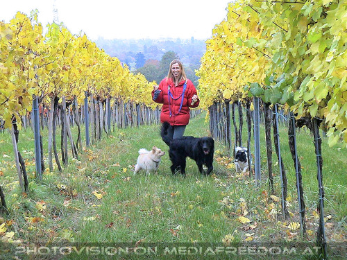 Weinberg Wanderung 6: Chiko,Doris R.