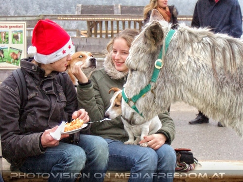 Die Tierretter von Aiderbichl 32