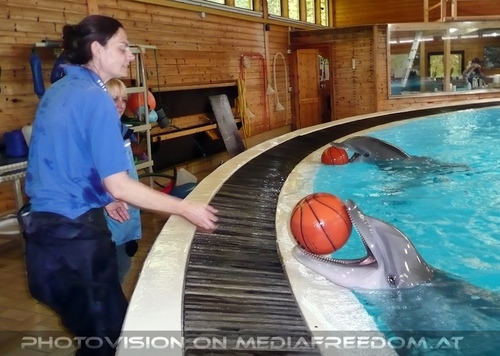 Die Zukunft hei�t DelphinLagune 23