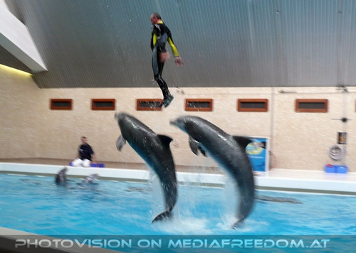 Die Zukunft hei�t DelphinLagune 34