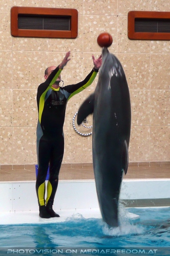 Die Zukunft hei�t DelphinLagune 36