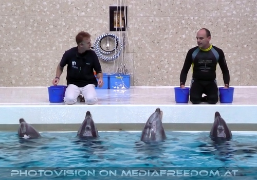 Die Zukunft hei�t DelphinLagune 39