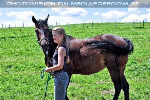 Ein Paradies f�r Tiere 25