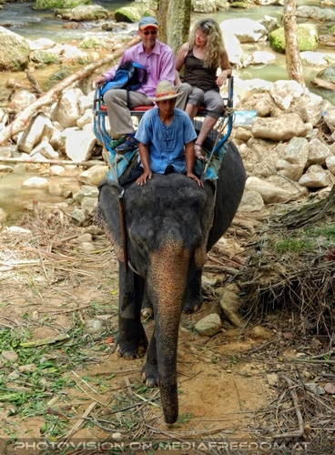 Namuang Jungle Elephant Trip 05