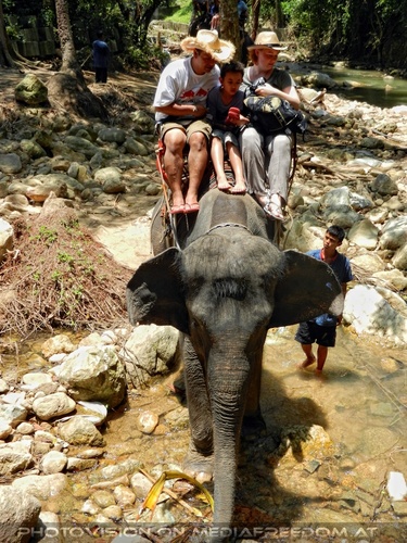 Namuang Jungle Elephant Trip 23