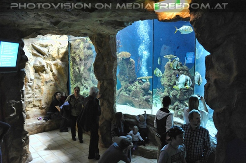 Am Fu�e des Riesen Aquariums