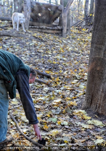 Meine Sonnenblende bei den W�lfen 3