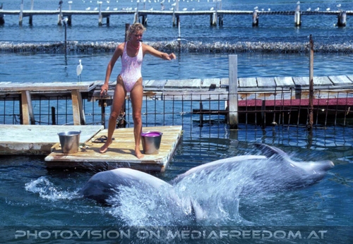 Dolphin Research Center 08