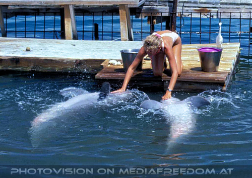 Dolphin Research Center 13