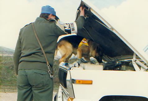 Such, such, such: Drogenhund