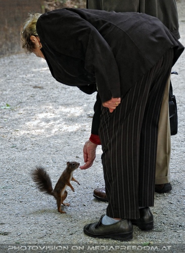 Eichkatzl F�tterung