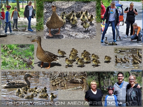 Entenrettung: Eli S. und Familie, Gabriele P.