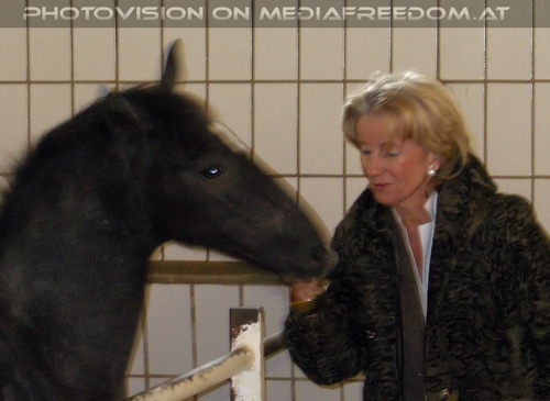 Im Gest�t 11: Elisabeth G�rtler