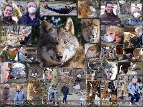 Allen Tieren so nahe ;-)!