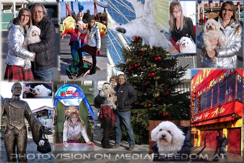 Unter den Fittichen von Elvis dem Gelbhaubenkakadu: Elvis, Monti, Doris R., Charly Swoboda