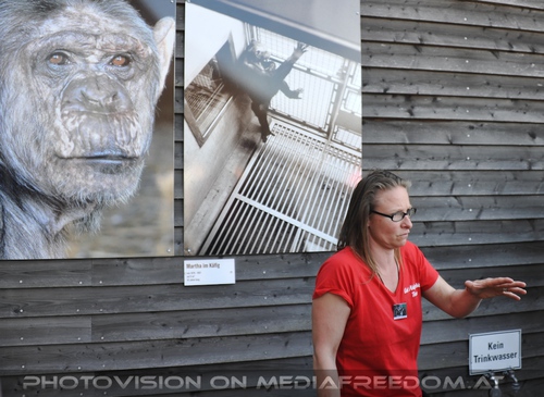 Das Affenrefugium 005