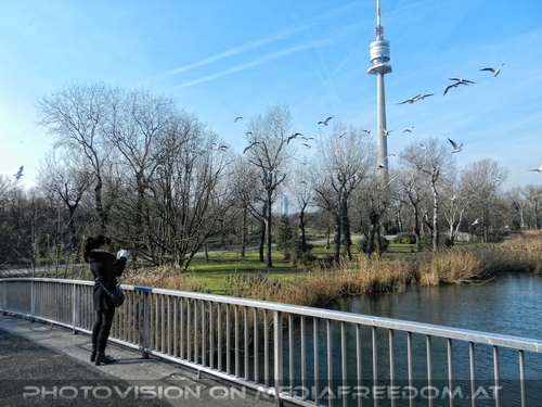 Der M�venschwarm: Eva D.