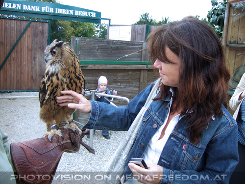 Falknereivorf�hrung 09