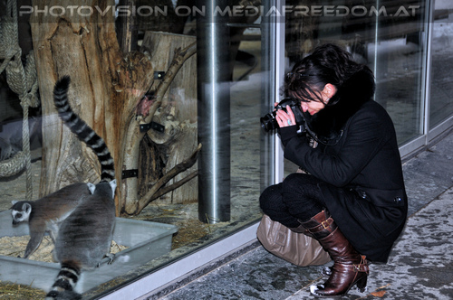 Fotografin 2: Eva D.