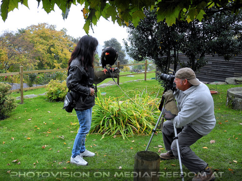 Greifvogelflugschau 37