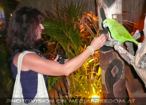 Romantic spanish evening 18