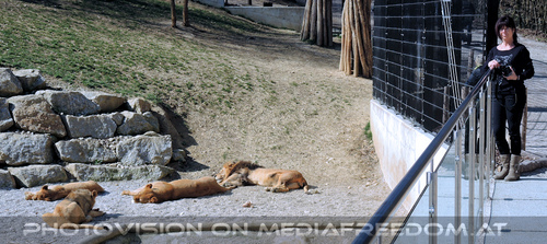 L�wenrudel 06: Eva D.