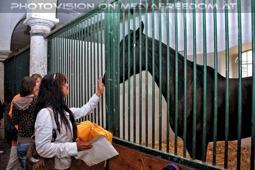 Stallungen 07: Eva D.