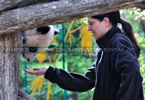 Fu Bao Action 33: Eveline Dungl