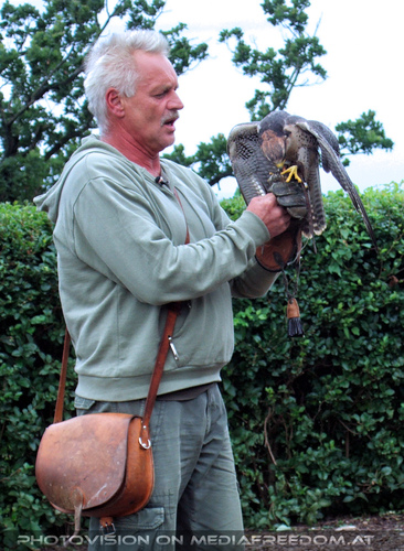 Falknereivorf�hrung 01