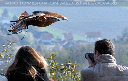 Falknereivorf�hrung 04