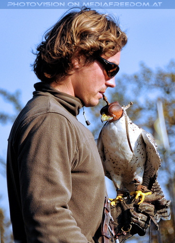 Falknereivorf�hrung 05