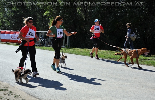 Mensch und Tier Lauf - Bild 02