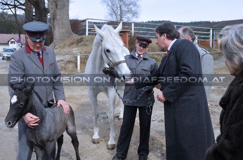 Die Fohlenpr�sentation 09