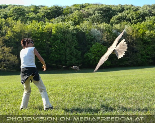 Falknerin mit Federspiel