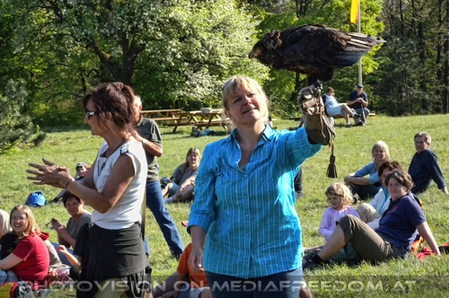 Adler auf Faust einer Zuschauerin