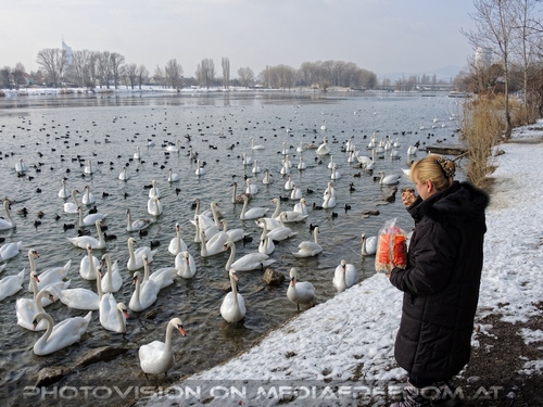 Birdland 02: Gabriele P.