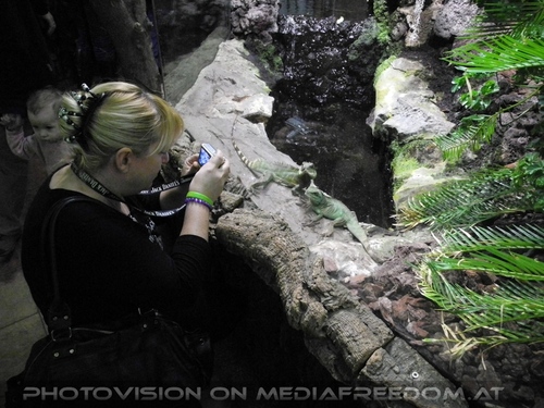 Echsen 2: Gabriele P.